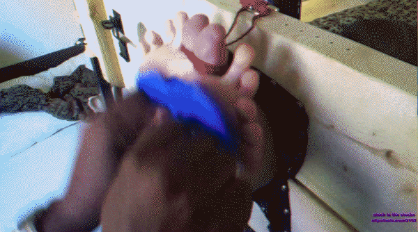 Alisa Rose's Wiggling Toes! - 2023/HD [Soles, Tickle Torture]